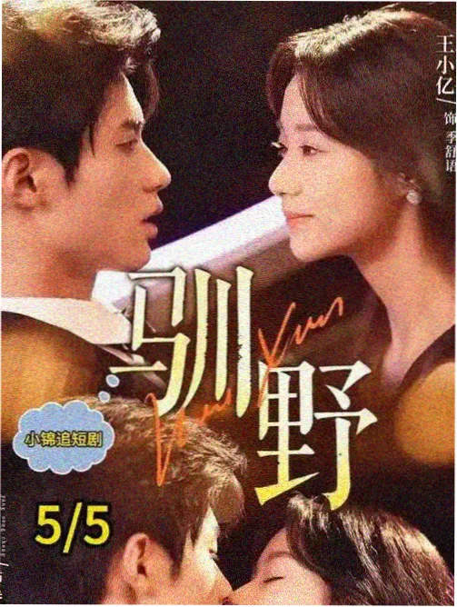 长夜行舟 高清电视剧全集免费观看